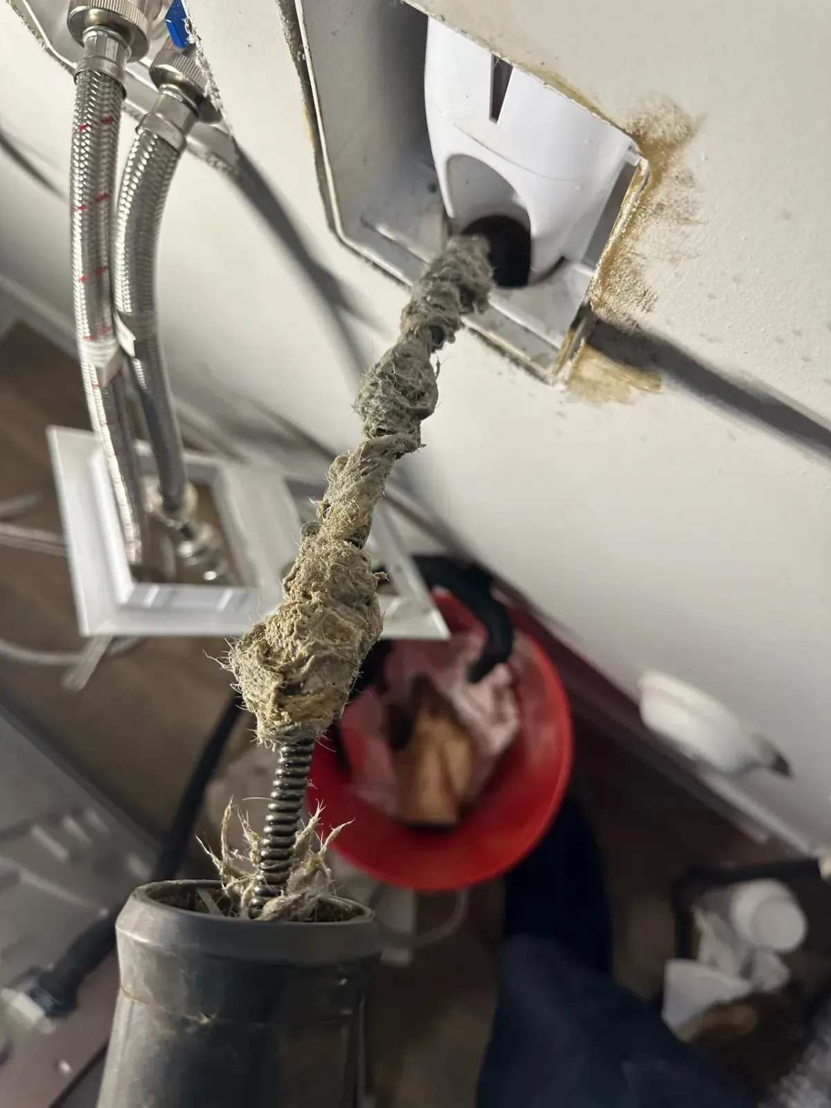 Recurring drain clog in bakersfield