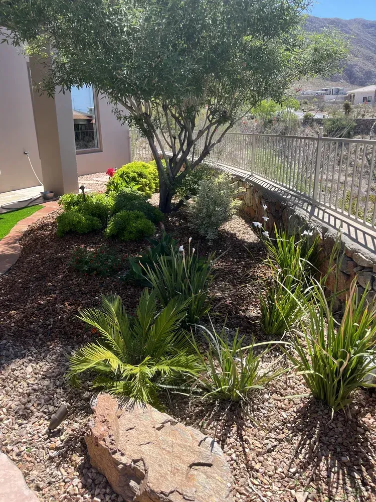 We provide custom flowerbed installation in Austin and Round Rock, TX, designing vibrant garden spaces that enhance curb appeal and bring color to your landscape year-round. Our team builds raised beds, stone-border flowerbeds, and natural garden layouts using high-quality soil, mulch, and drought-tolerant plants suited to the Texas climate. Whether you want a front yard flowerbed in Austin with seasonal blooms, a Round Rock backyard border filled with perennials, or a modern xeriscape-style bed with native flowers, we design and install each project with precision. Flowerbeds not only add beauty but also improve property value and create inviting outdoor spaces. From initial design and soil preparation to planting and finishing touches, we deliver complete flowerbed installations that thrive in Central Texas conditions. Get a free estimate today and see how our flowerbed installation services in Austin and Round Rock can transform your landscape with lasting color and texture.