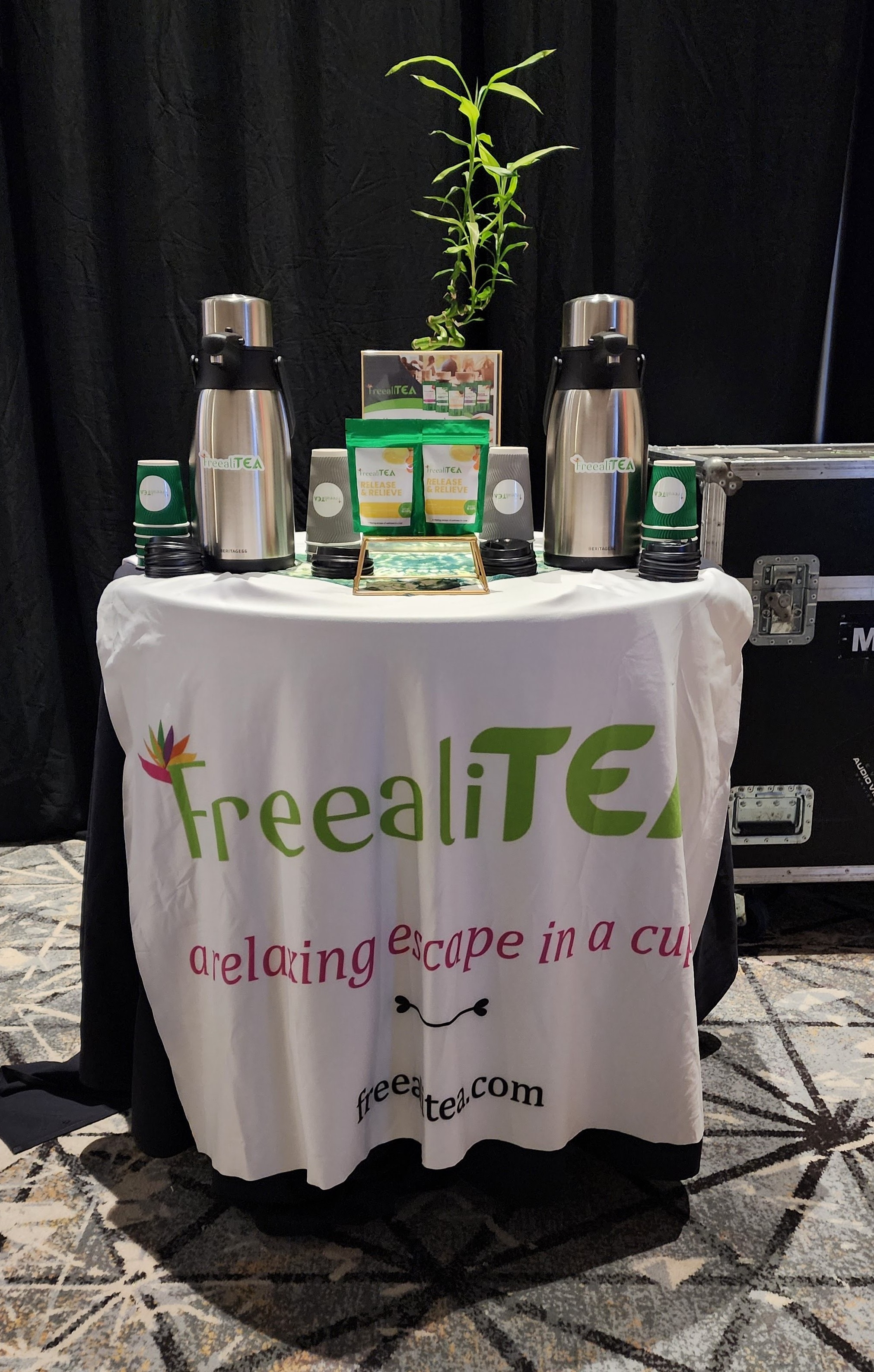 Founder preparing tea in elegant studio with natural light and greenery