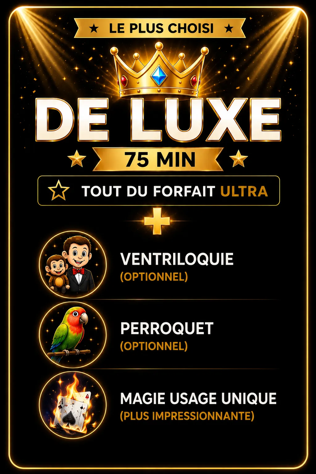 Forfait de luxe - Colombe, caniche savant, jonglerie, magie interactive, micro-magie, décor, système de son, disco et éclairage, sculpture de ballons, ventriloquie, perroquet, Lévitation