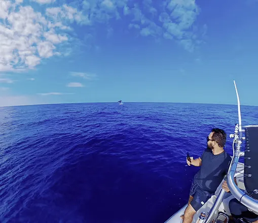 Snorkeling Tours Kailua Kona