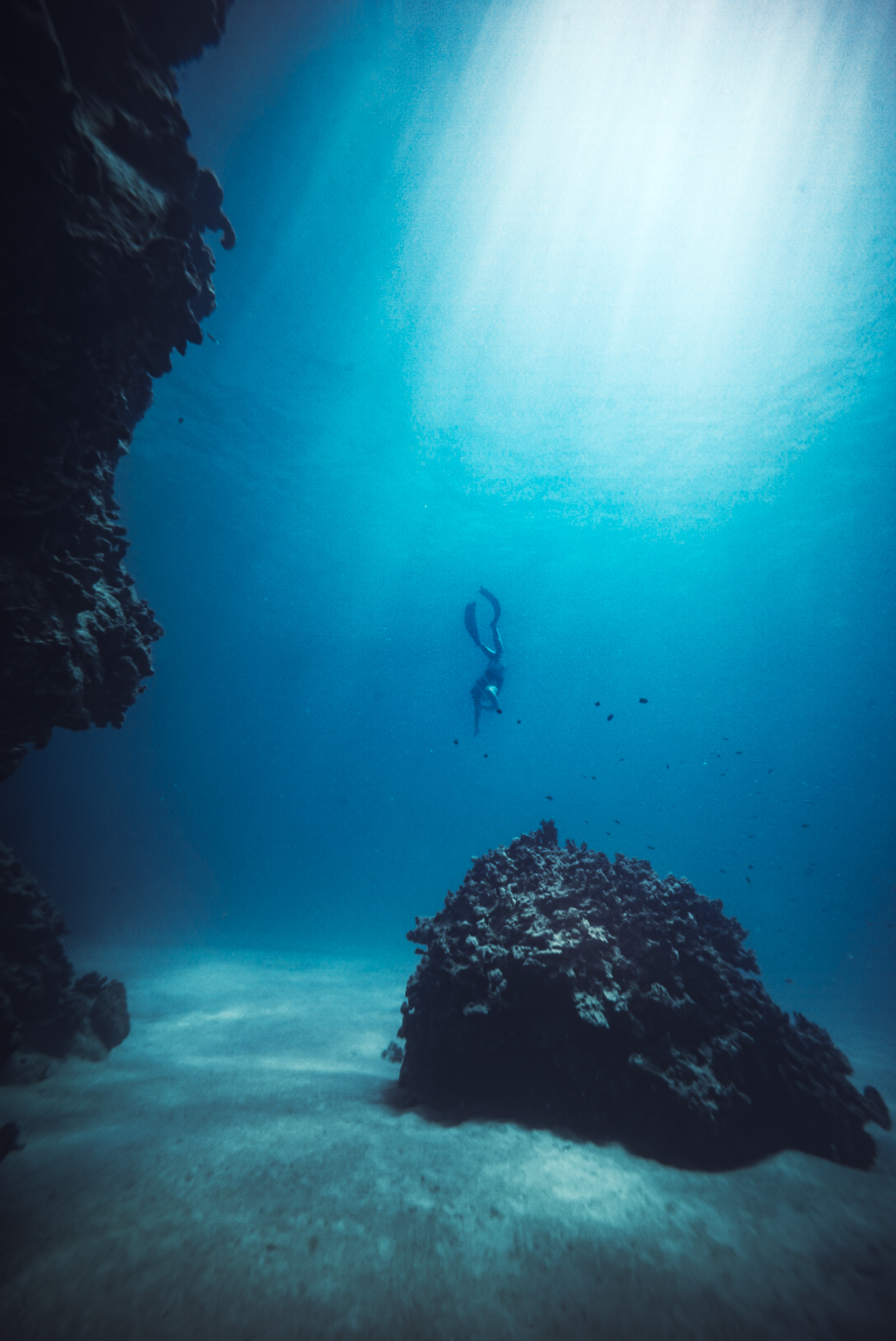 Snorkeling Tours