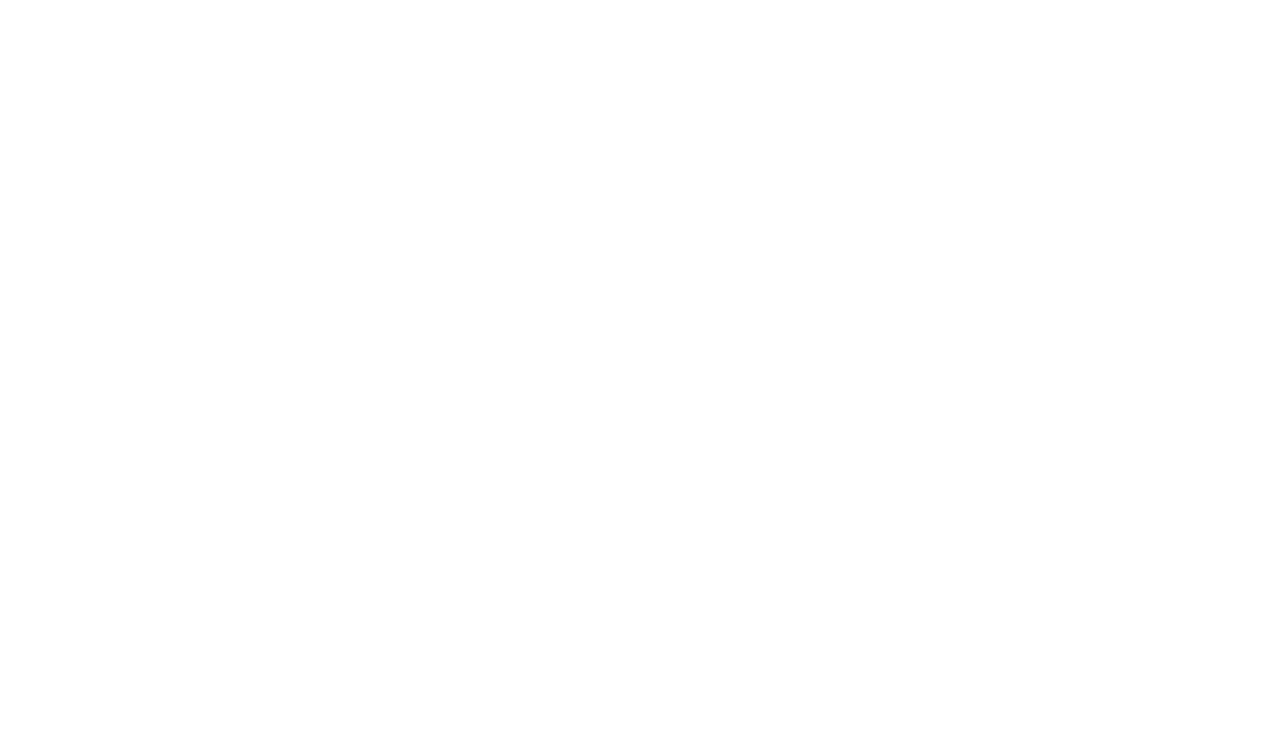 LeadForward Solutions