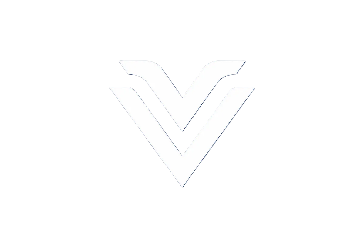 Value Velocity Logo