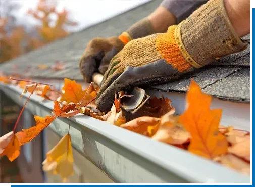 Residential Gutter Cleaning