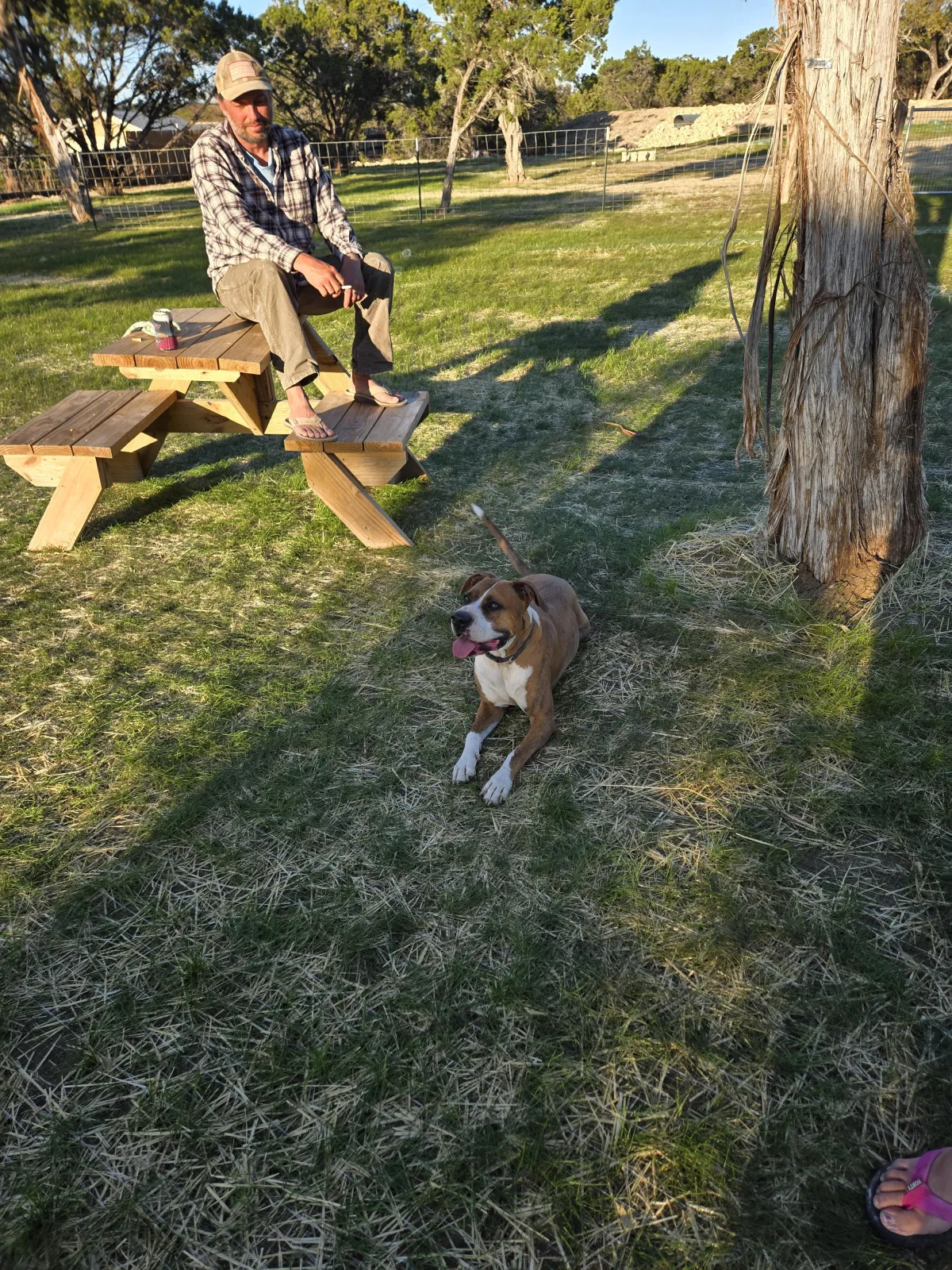What We Pack for the Dogs Before Heading to Canyon Lake