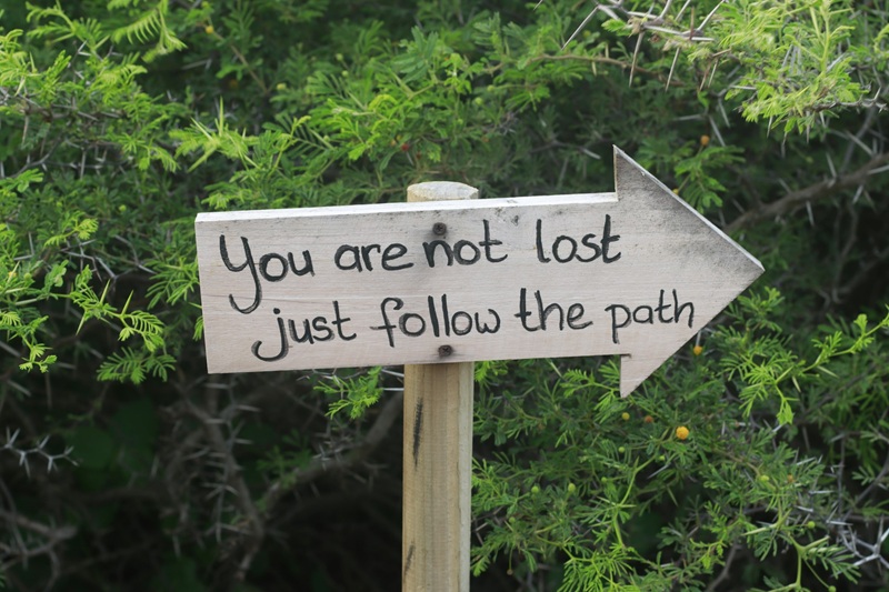 This One's For You If You're Asking, 'Am I Really On The Right Financial Track?'