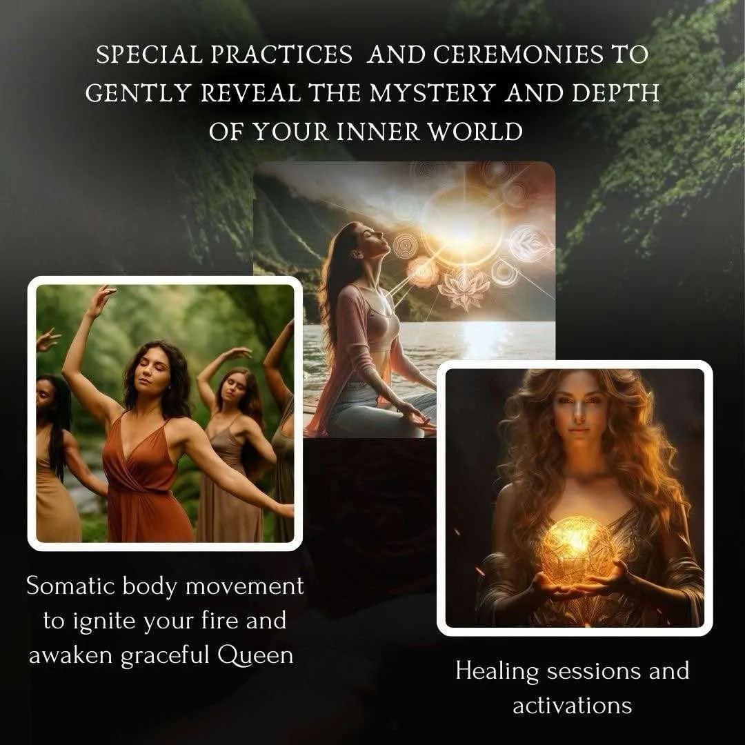 brown dried leaves on ground with trees