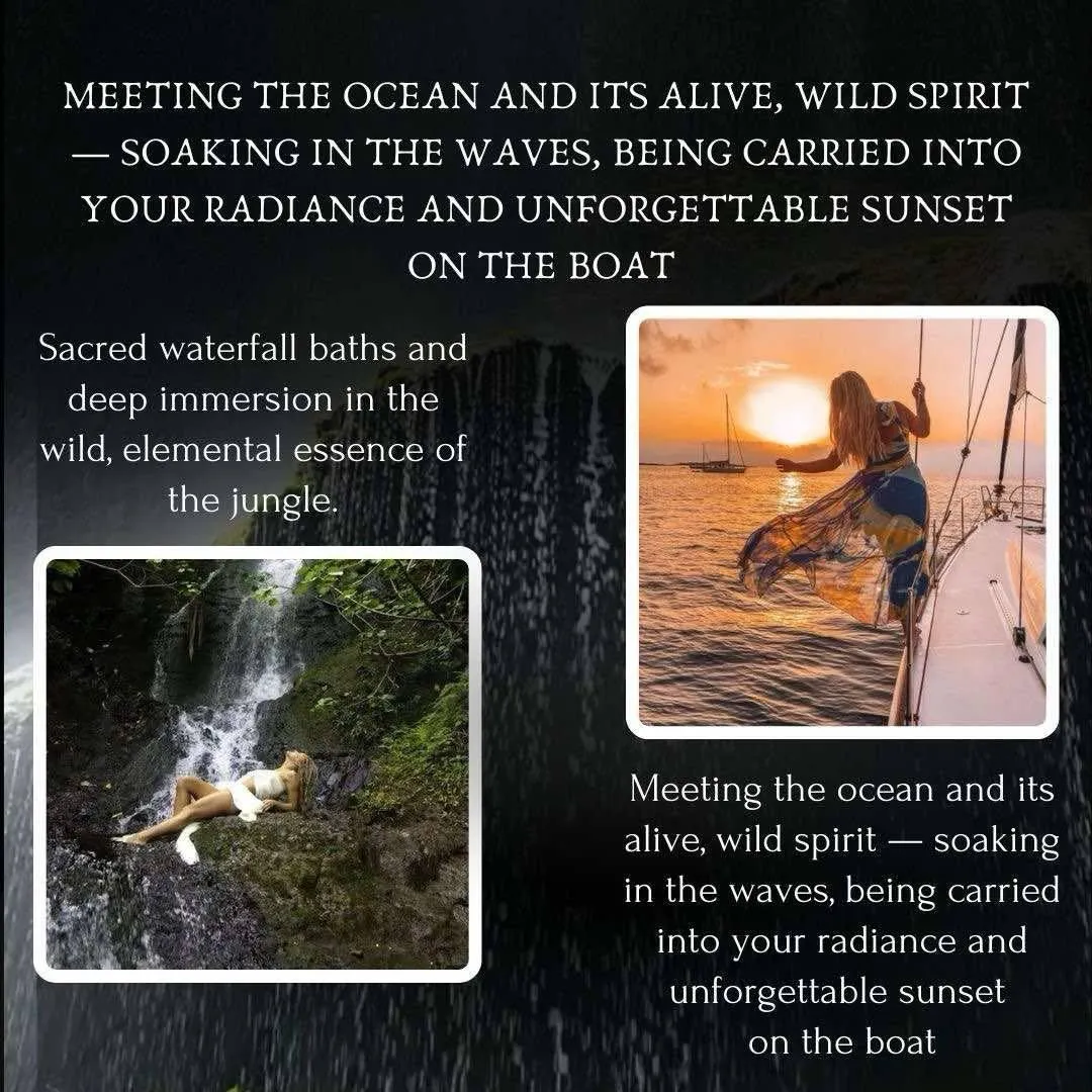 brown dried leaves on ground with trees