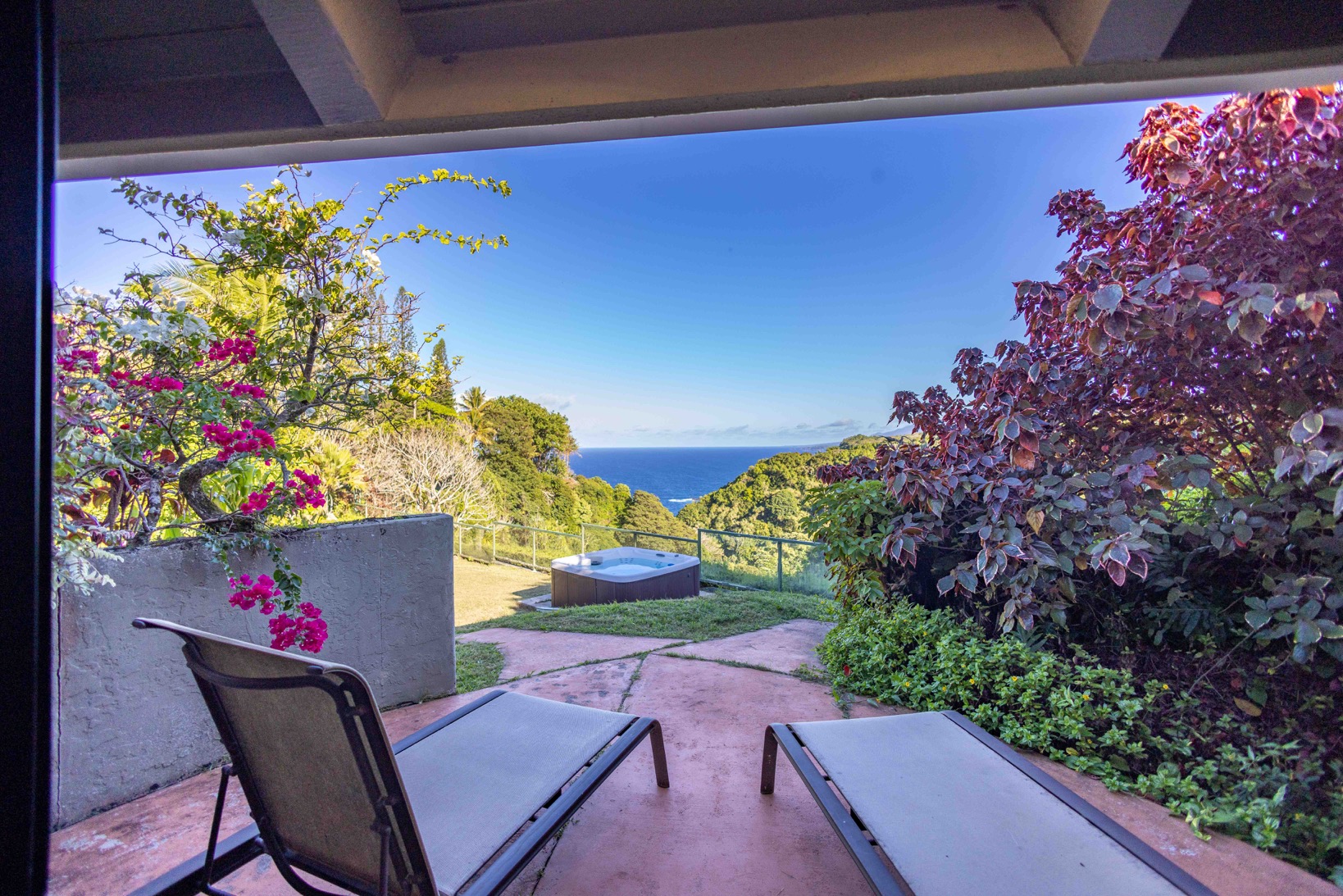 brown dried leaves on ground with trees