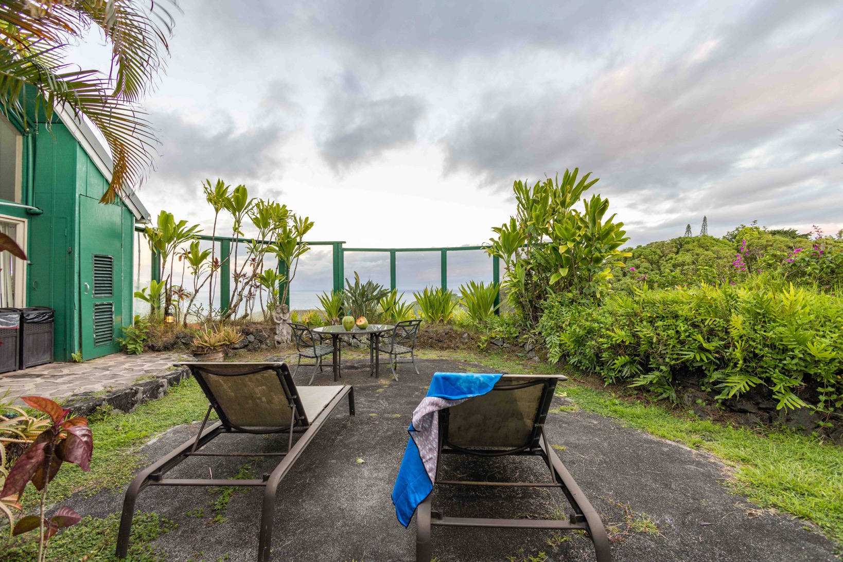 brown dried leaves on ground with trees