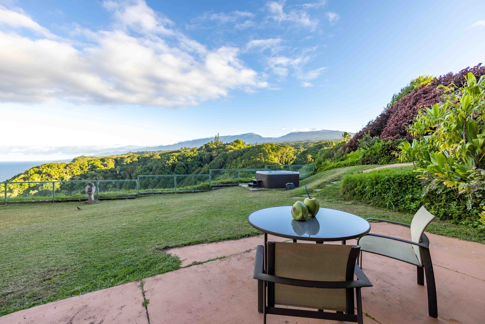 brown dried leaves on ground with trees