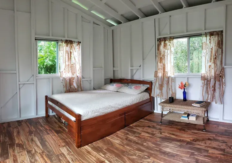 brown dried leaves on ground with trees