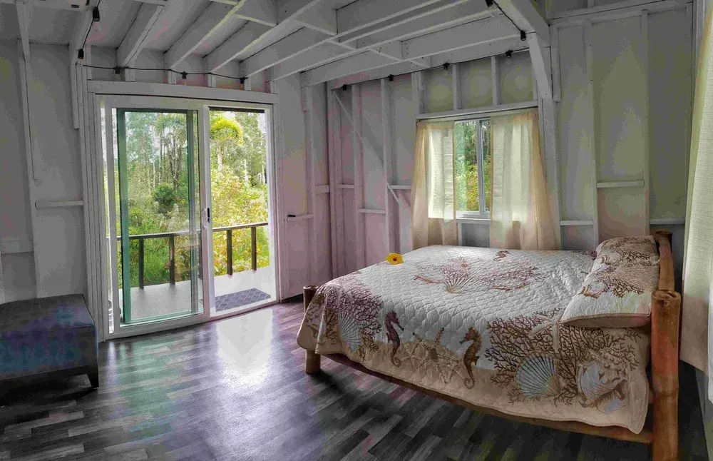 brown dried leaves on ground with trees