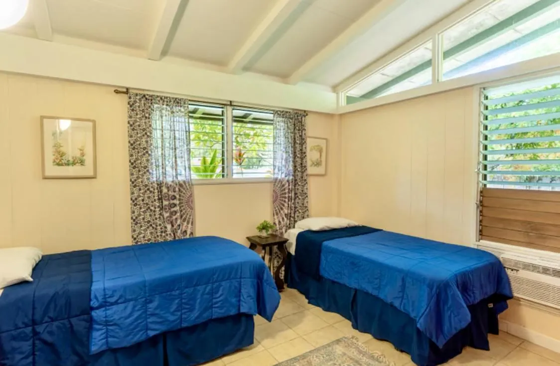 brown dried leaves on ground with trees