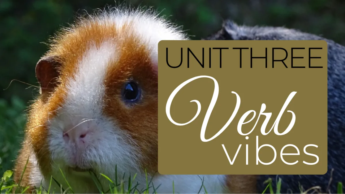 Unit three: Verb vibes