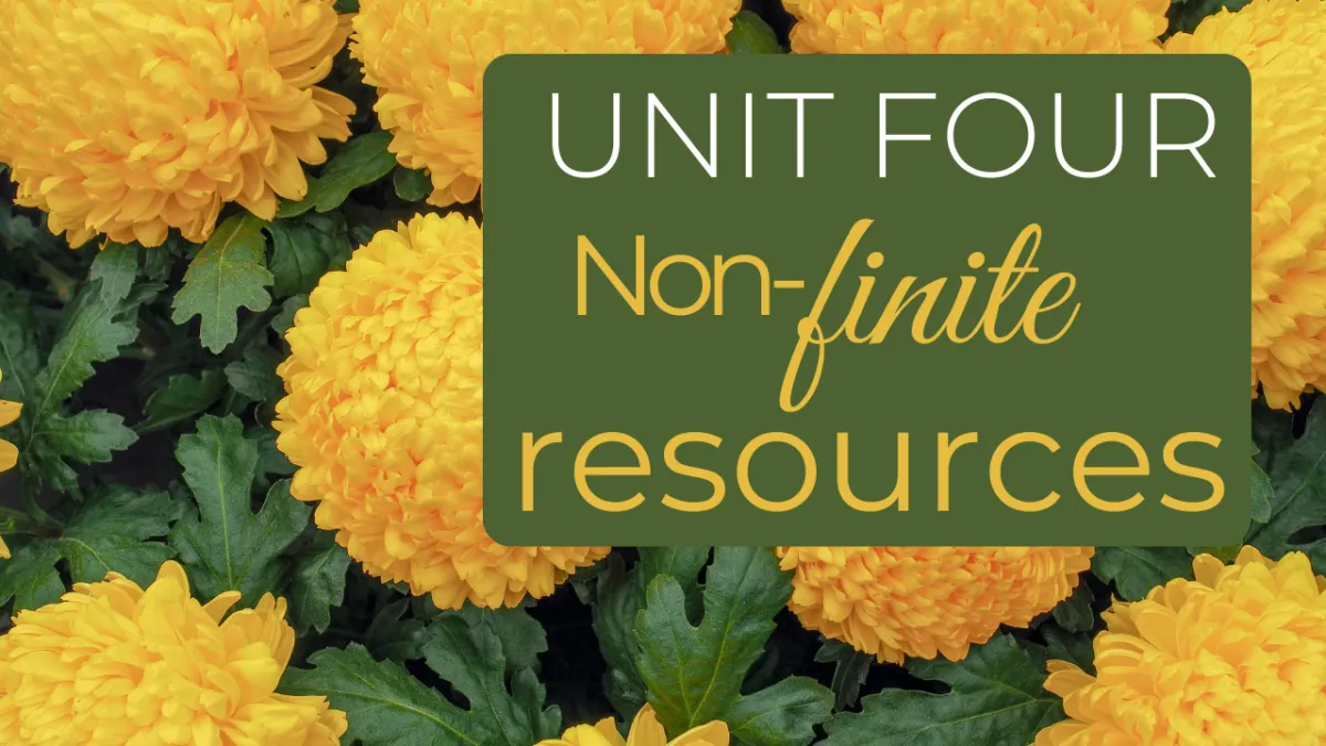 Unit four: Non-finite resources