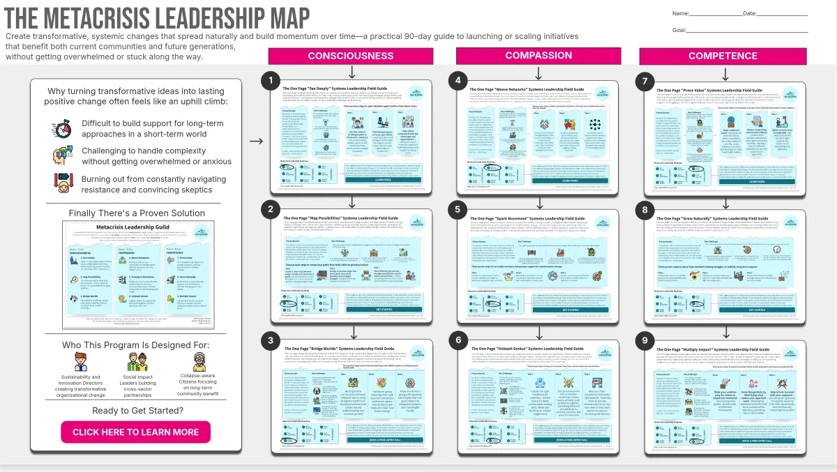 Download the Shiftscaping Metacrisis Leadership Map here