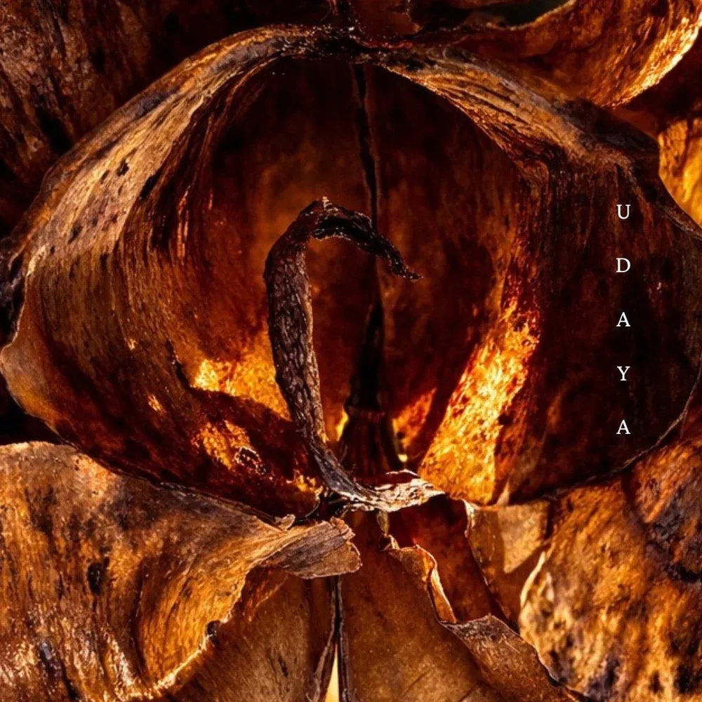 Portada de UDAYA, de Tato Sáenz