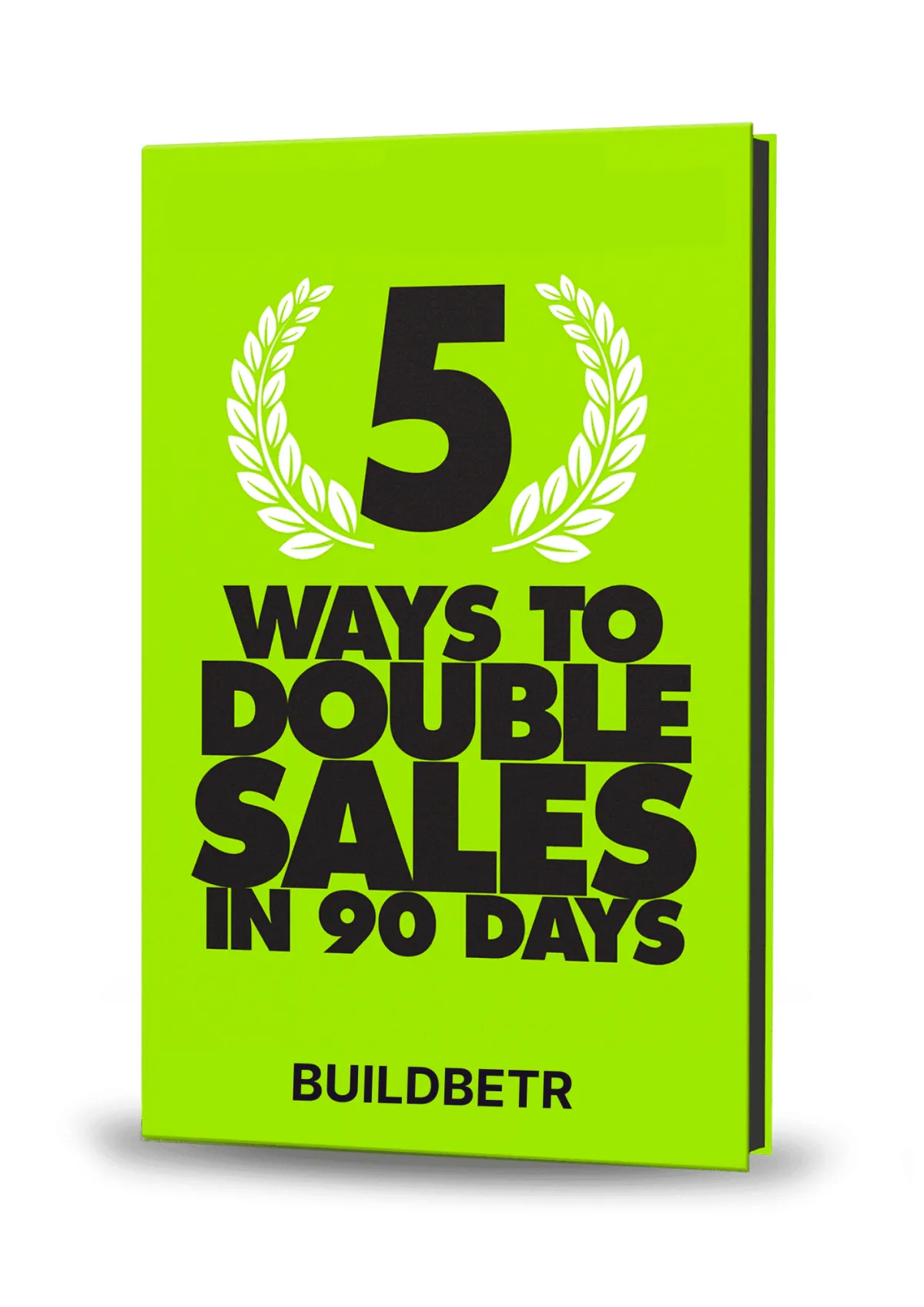 5 Ways To Double Sales In 90 Days