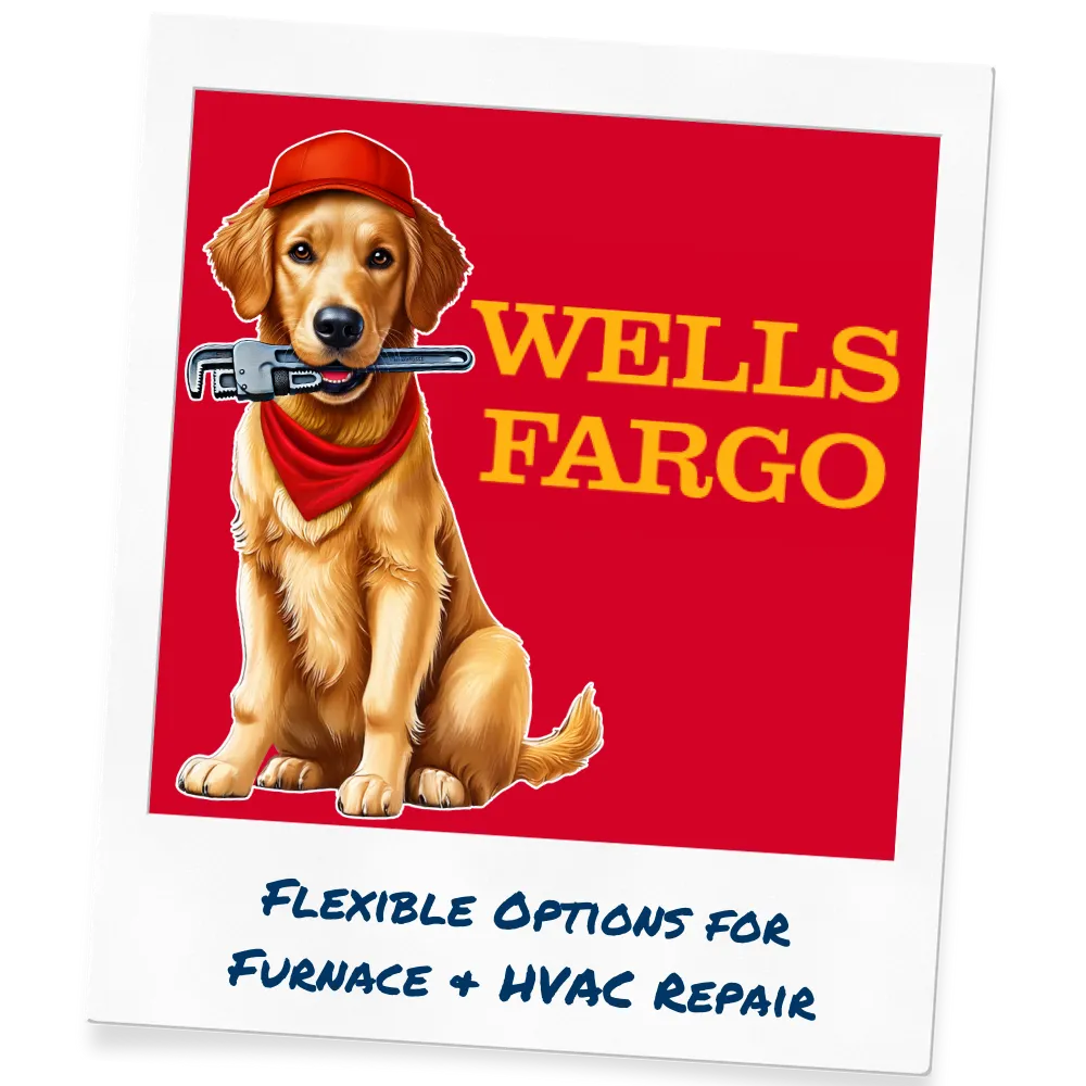 Plumbing tune-up promotion featuring a cartoon golden retriever with a wrench, highlighting a special offer of $68 for a tune-up plus free chemical cleaning, labeled as "Lucky Dog Special."