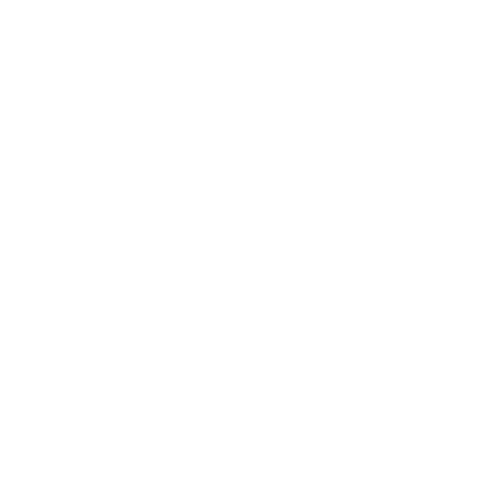 Disciplinary Process Support