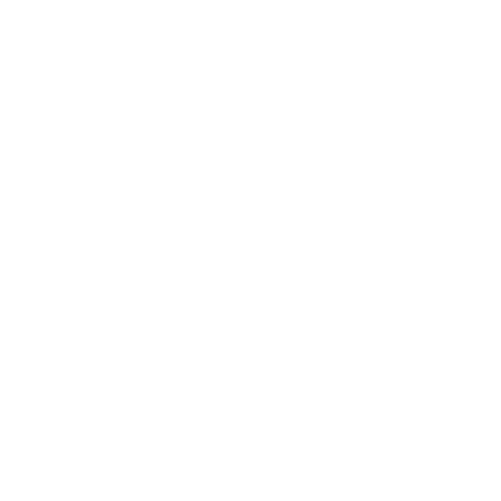 Settlement Agreement Support