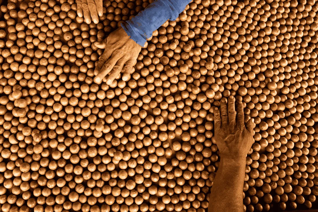 Two people working with a laptop outside greenhouse