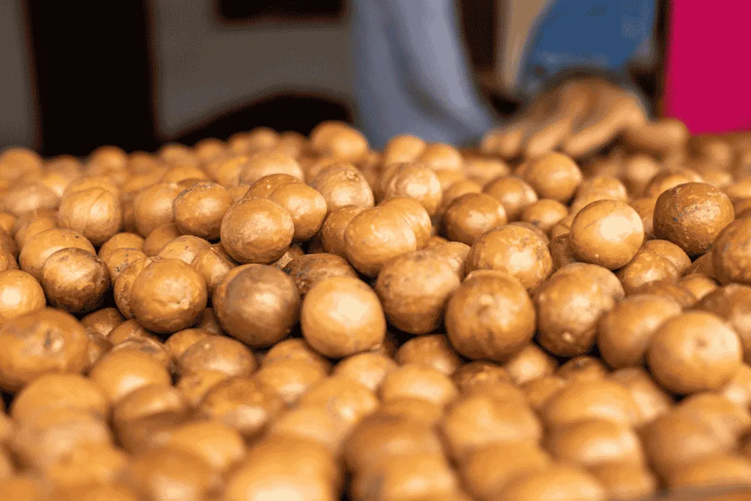 Venta de macadamia en concha por bultos para industria alimentaria y cosmética.