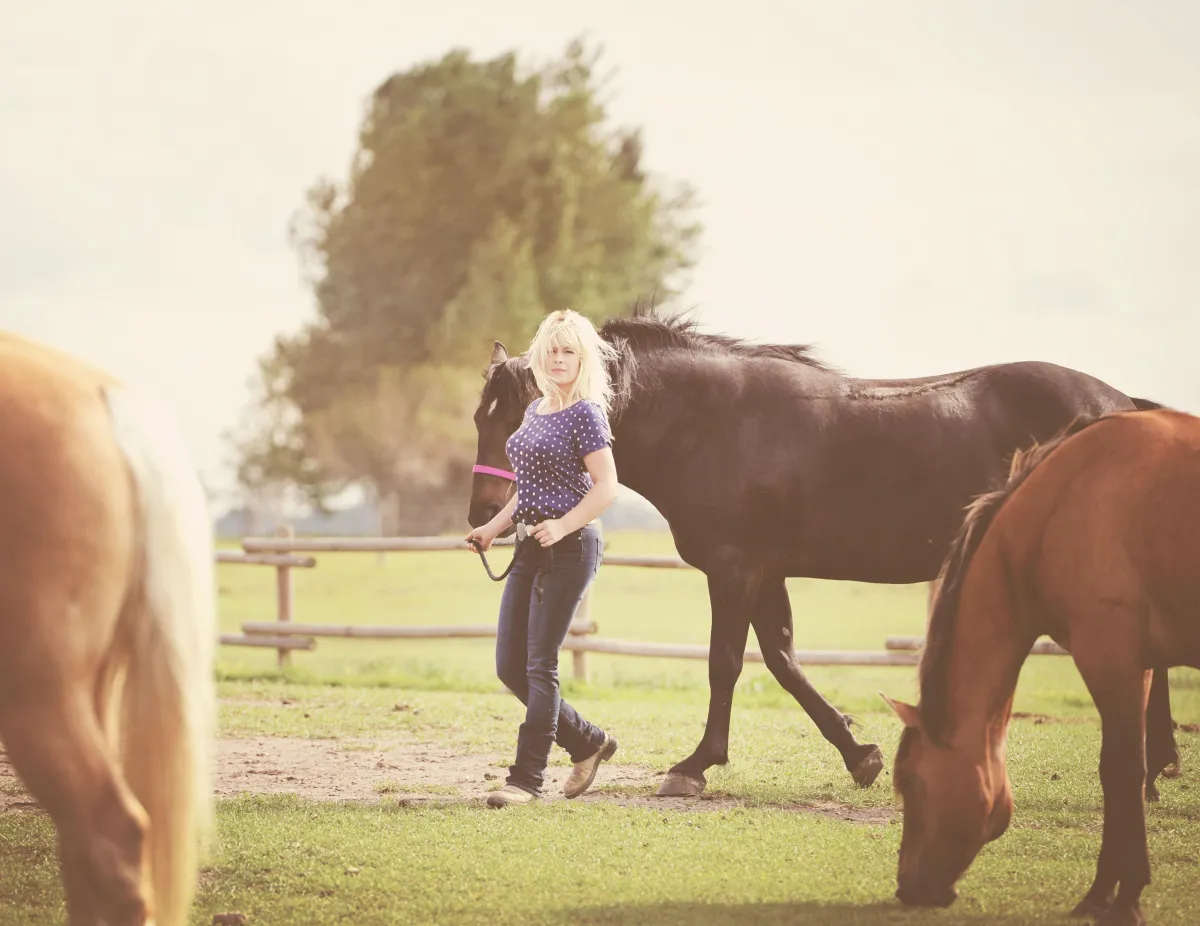 a white and black horse running through a field