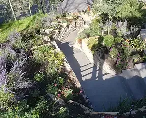 Stone steps ascending through a terraced garden