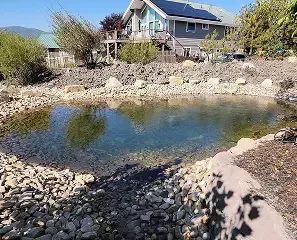 A tranquil natural-looking pond with rocky shores