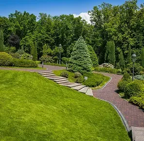 Meandering stone path through a bright green lawn