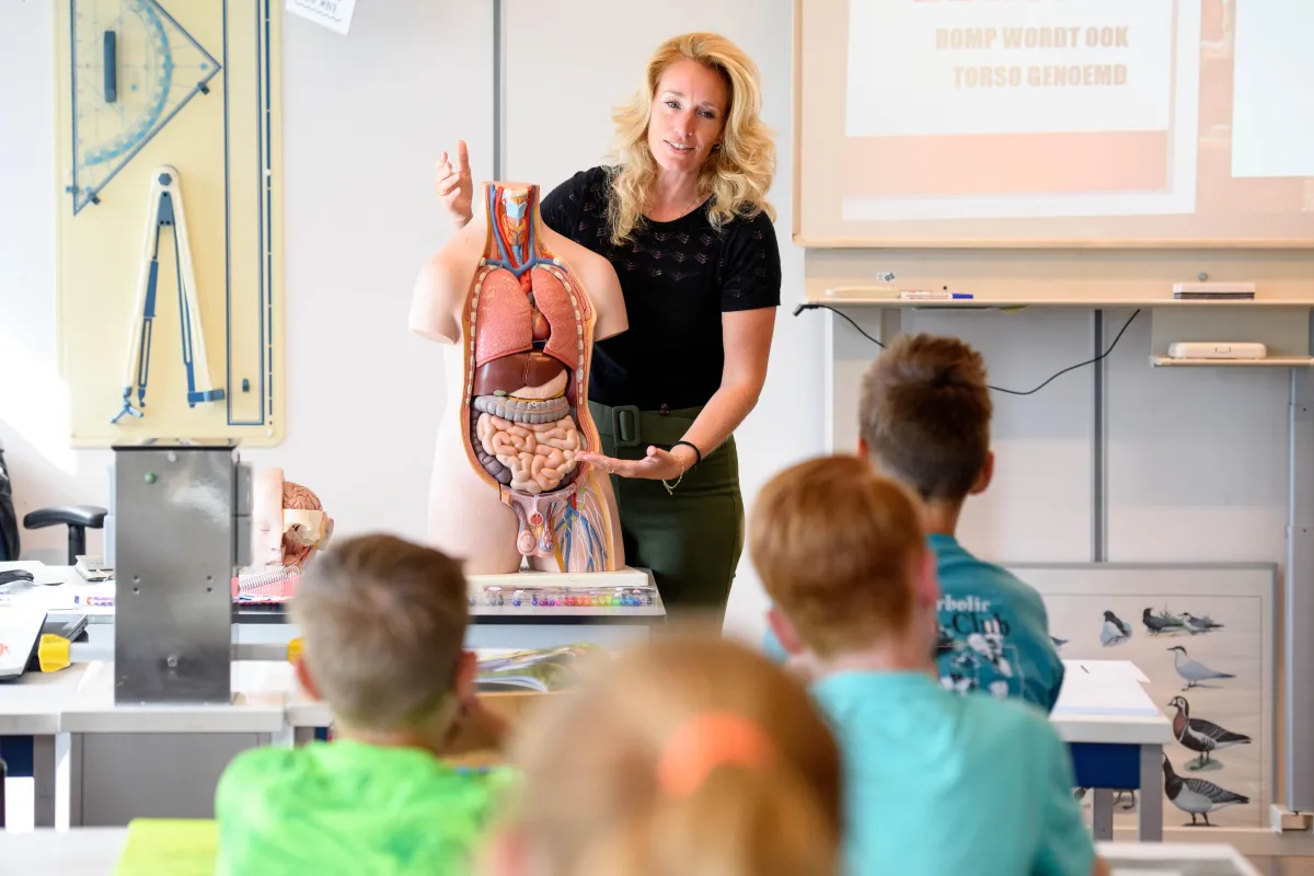 Docentenbegeleiding