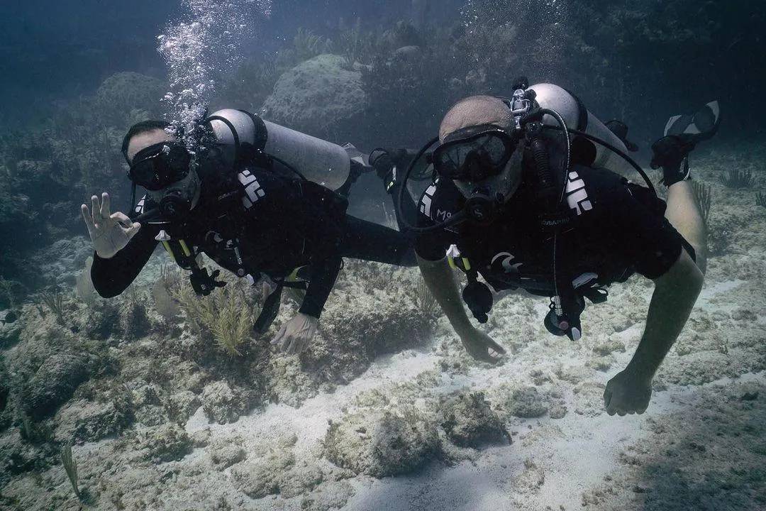 PADI OPEN WATER SCUBA DIVER CERTIFICATION | Flying Fish Tulum Dive Shop 