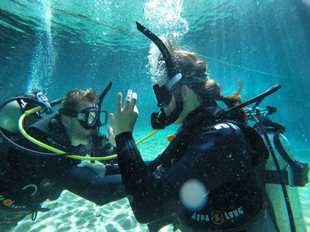 SCUBA DIVING CERTIFICATION COURSES | Flying Fish Tulum Dive Shop 