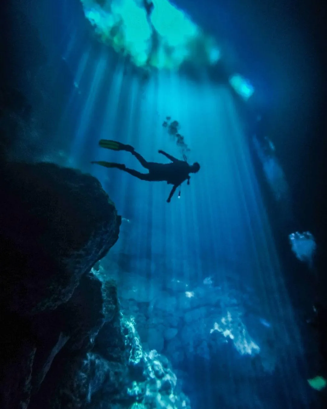 EL PIT CENOTE DIVING TOURS | Flying Fish Tulum Dive Shop 