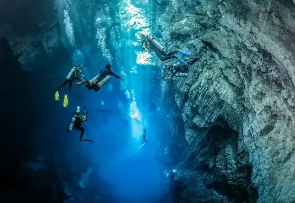 CENOTE DIVING TOURS | Flying Fish Tulum Dive Shop 