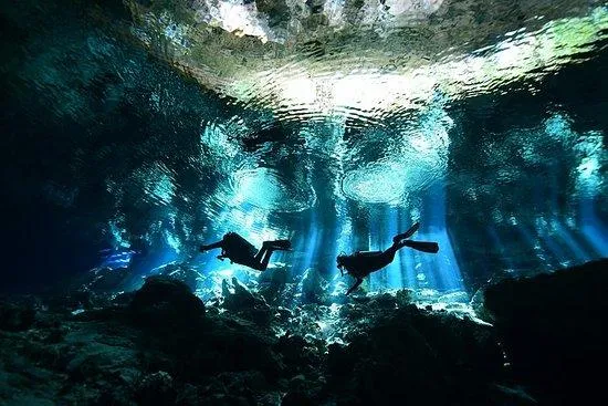 CENOTE DIVING TOURS | Flying Fish Tulum Dive Shop 