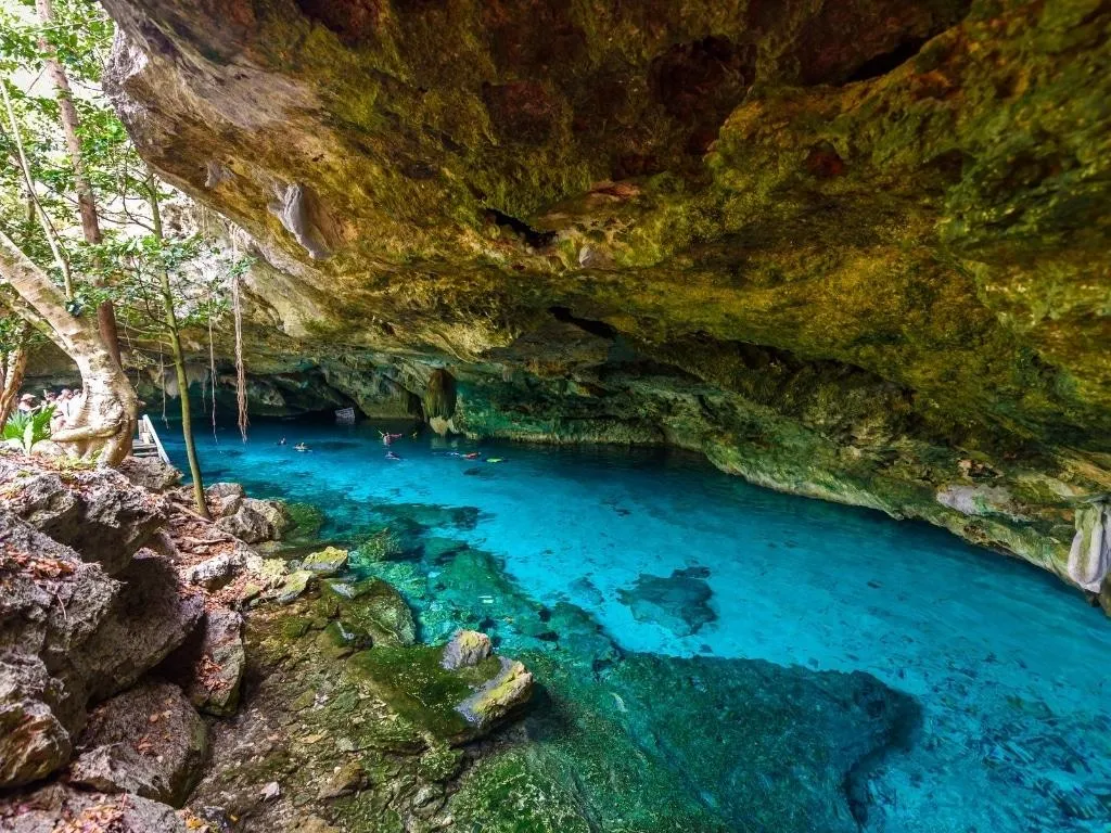 CENOTE DIVING TOURS | Flying Fish Tulum Dive Shop 