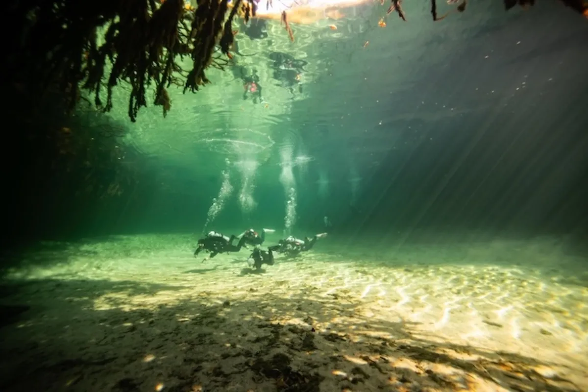 Group of divers in the open section of Casa Cenote with light beams shining in making shadows.
