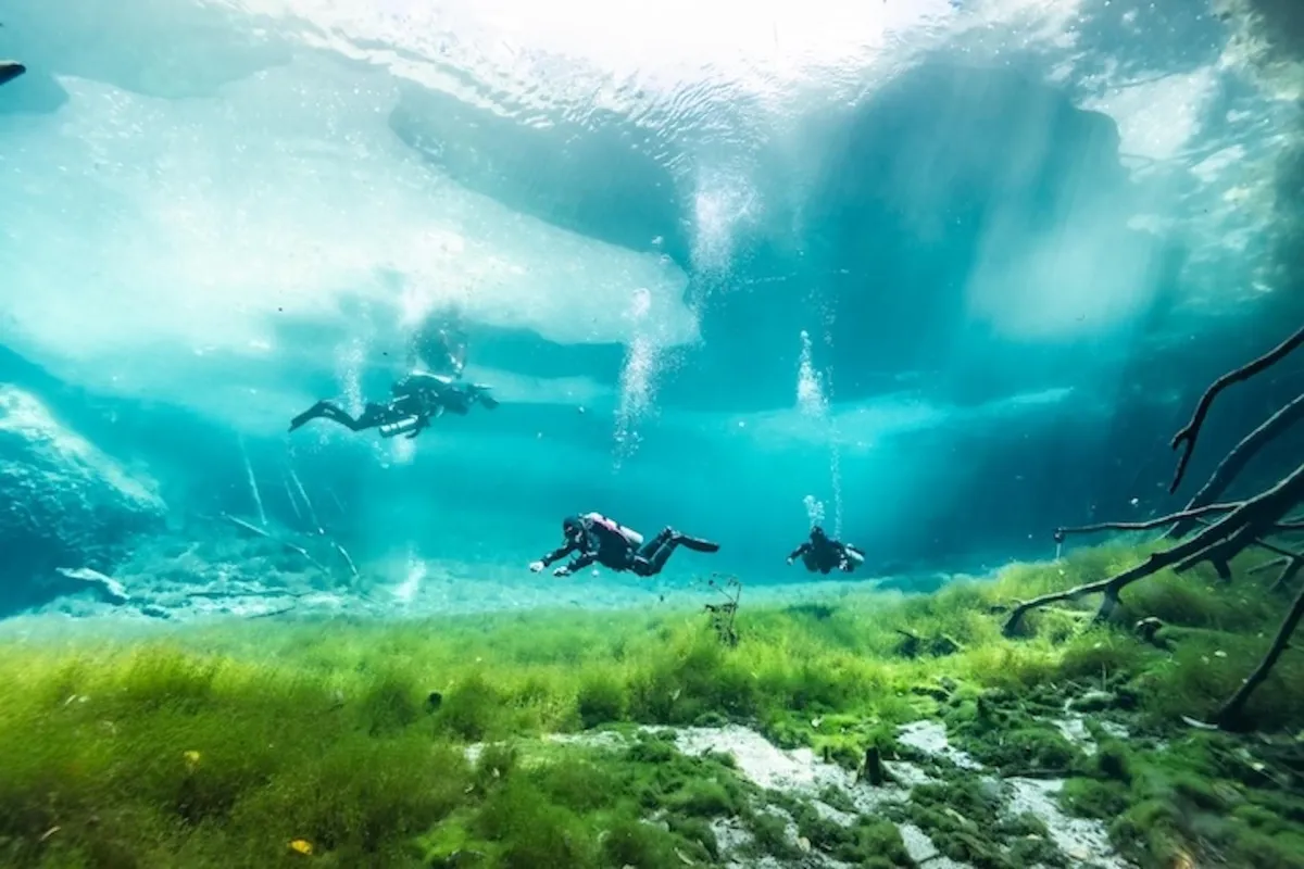 Scuba diver swimming through lush jungle reflections at Car Wash cenote