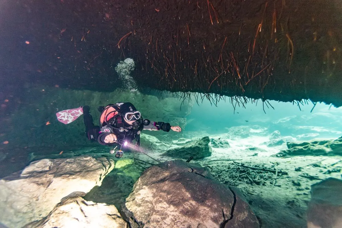 Scuba diver swimming beneath mangrove roots at Casa Cenote