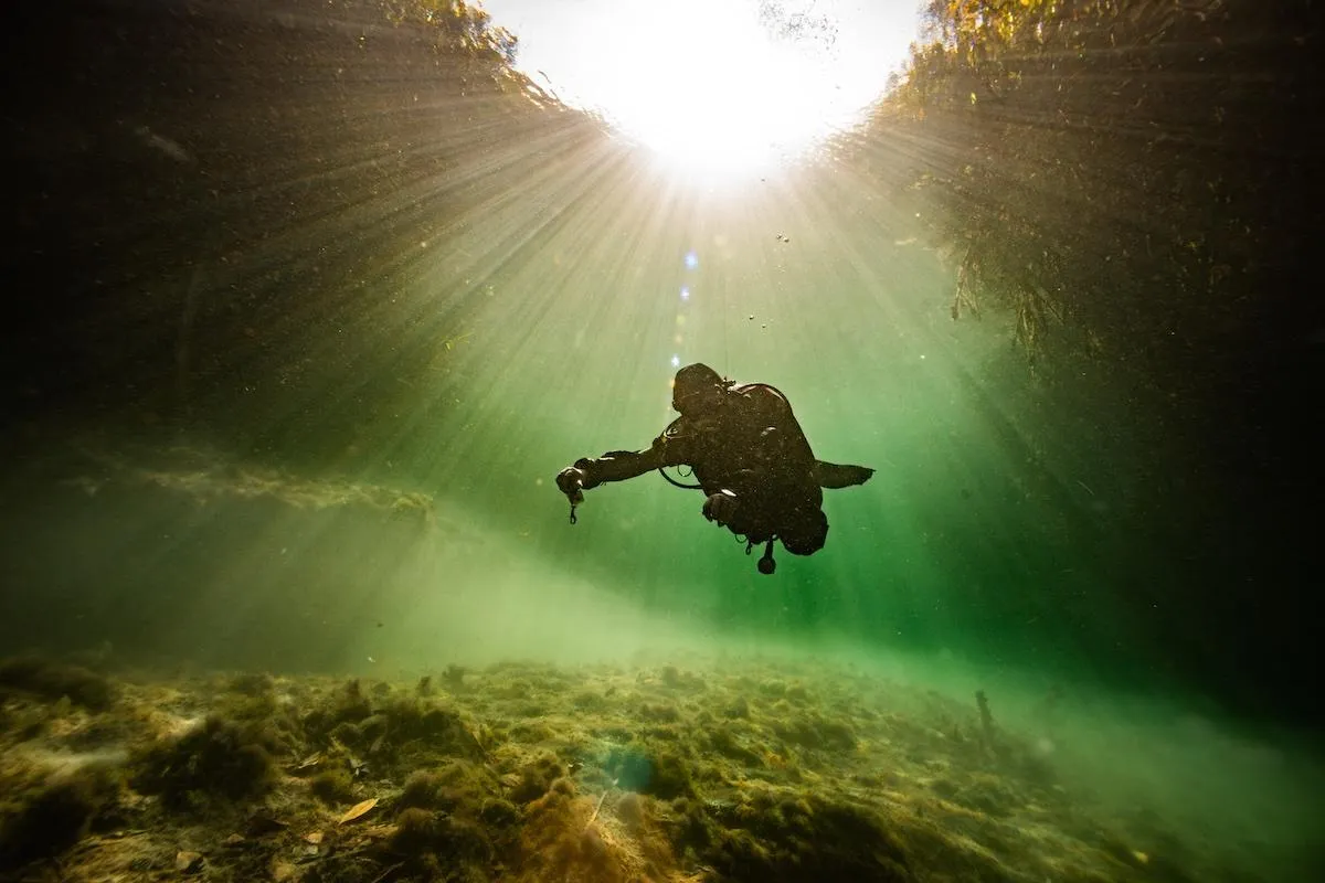 Sunlight filtering through mangrove tunnels at Casa Cenote