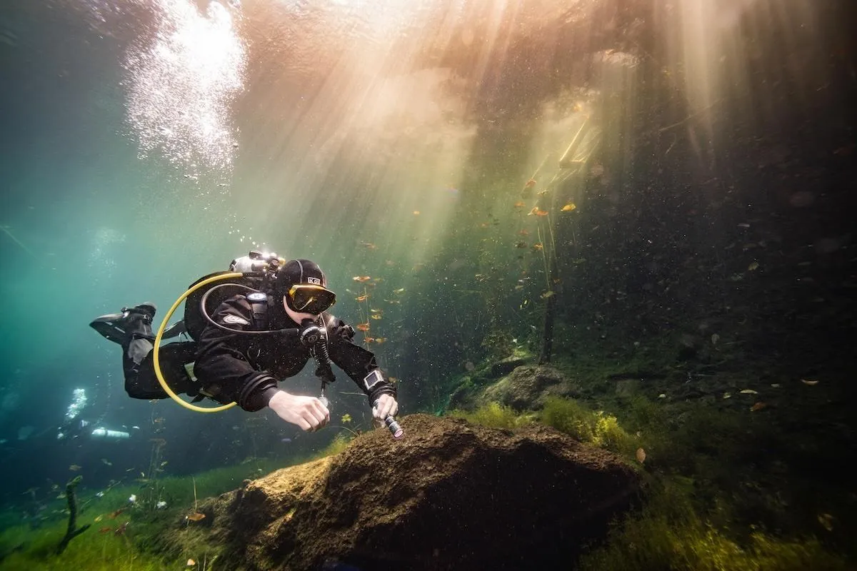 Diver swimming beneath underwater lily pads at Car Wash cenote