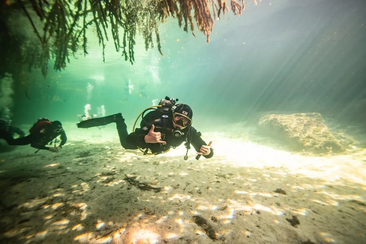 Diver exploring the mangrove lagoon at Casa Cenote Tulum