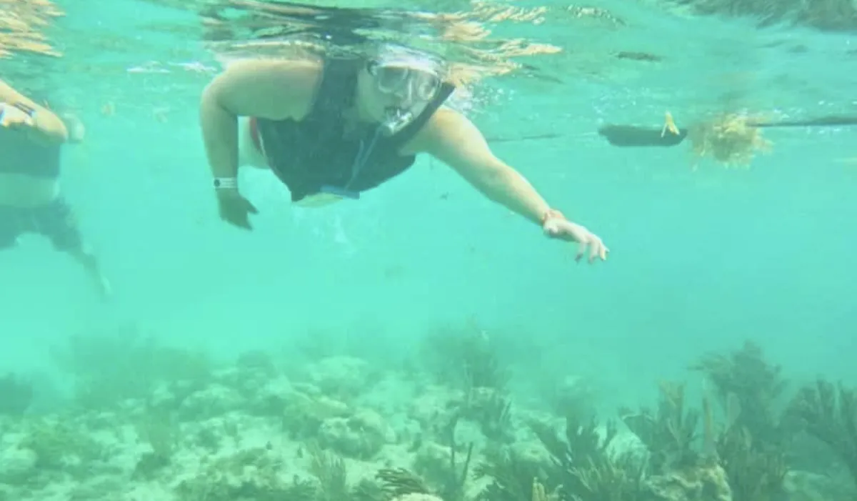snorkeler pointing to a fish on the reef
