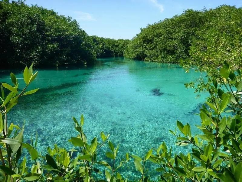 clear calm water at casa cenote