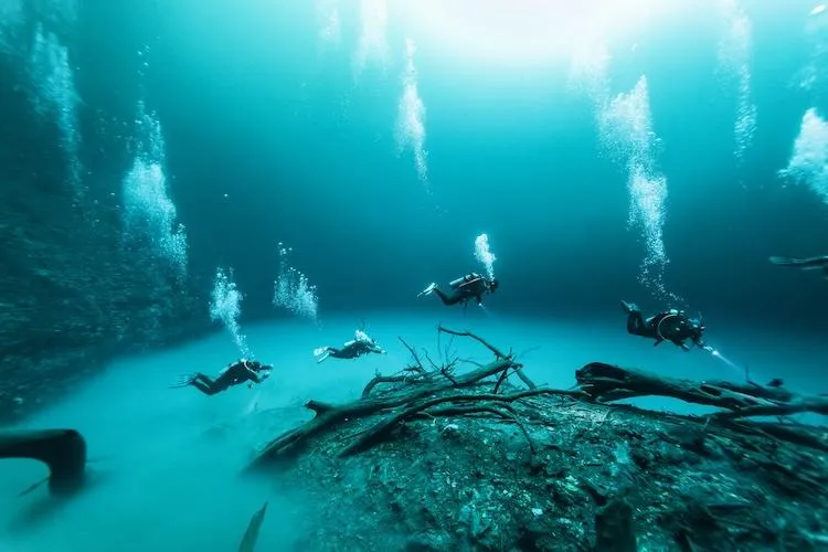group of scuba divers exploring Angelita cenote near tulum