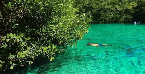 snorkeler at casa cenote